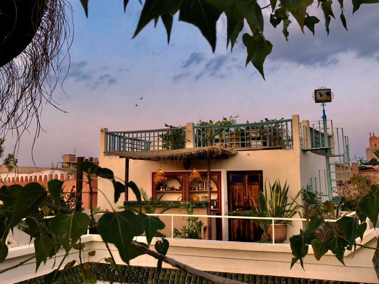 Riad Le Coq Berbere Marrakesh Buitenkant foto